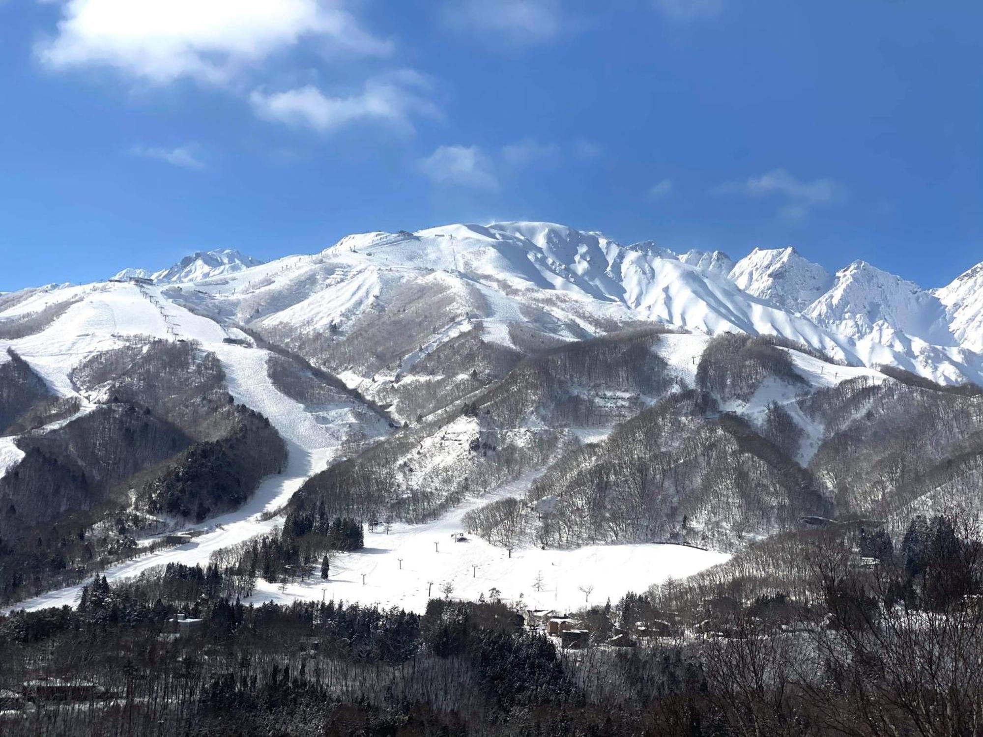 Winterfell Hakuba 빌라 외부 사진